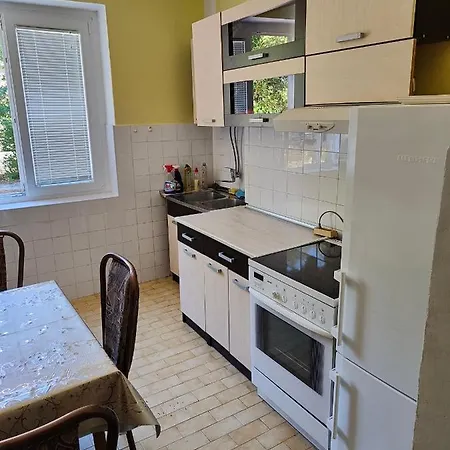아파트 Apartman Bregovi *
